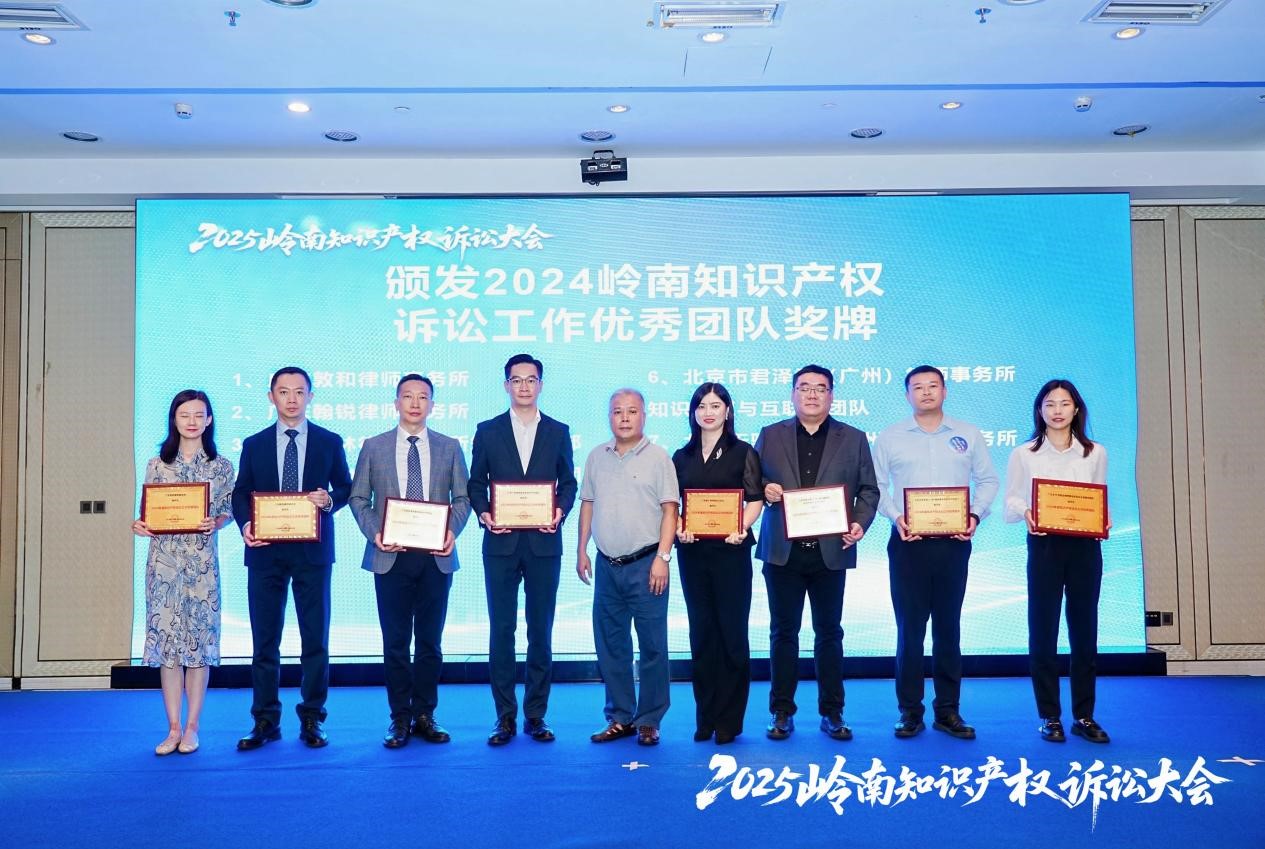 “2024岭南知识产权诉讼工作优秀团队”颁奖仪式.jpg